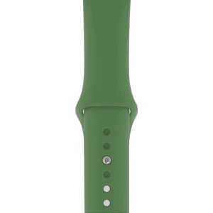 Apple Watch 3 4 5 6 7 8 Se 38 40 41MM Kordon Kayış Bileklik Klasik Kaliteli Silikon