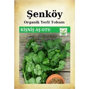 Yerli Kişniş Aş Otu Tohumu Doğal Ata Geniş Yaprak Ispanak Tohum 1 Pakette 25 gr 3000 Tohum