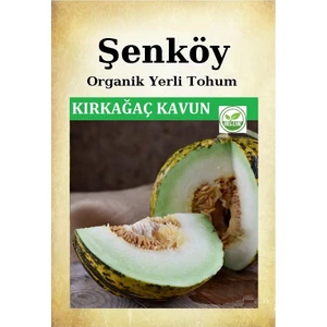 Yerli Kırkağaç Kavun Tohumu Doğal Ata Tohum Pakette 5 gr 150 Tohum ve Sebze Tohumu