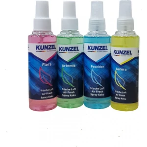 Araç Kokusu 4 Lü Set 170 ml