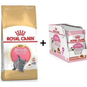 Royal Canin Kitten British Shorthair Yavru Kedi Maması 2 kg + 12 Adet Yaş Mama