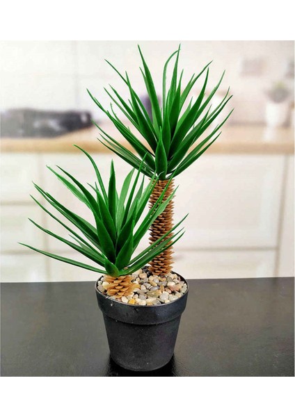 Siyah Saksıda 2 Dal Yapay Aloevera