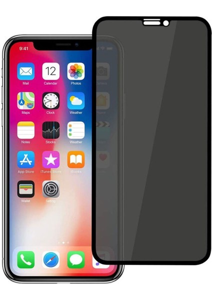 Apple iPhone 12 Pro Zebana Mat Seramik Hayalet Ekran Koruyucu Siyah