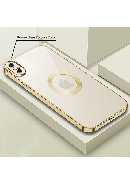 Apple iPhone Xs Max Kılıf Zebana Glint Silikon Kılıf Gold