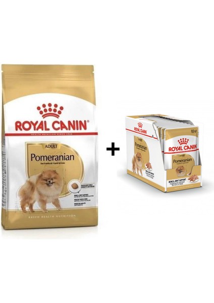 Pomeranian Yetişkin Köpek Maması 3kg + 12 Adet Yaş Mama