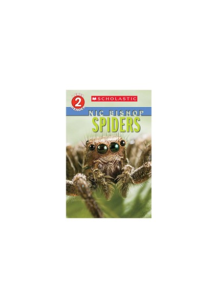 Spiders (Scholastic Reader Level 2)