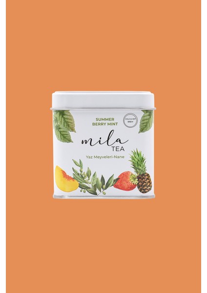 Summer Berry Mint - Yaz Meyveleri-Nane 70G