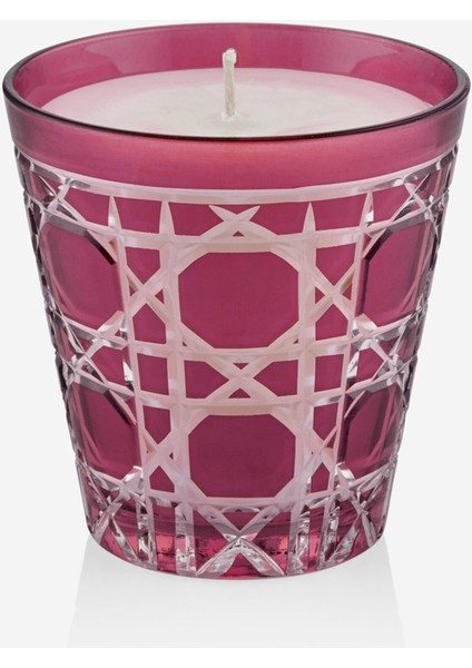 Gloria Spicy Bordo Cam Mum 10 cm