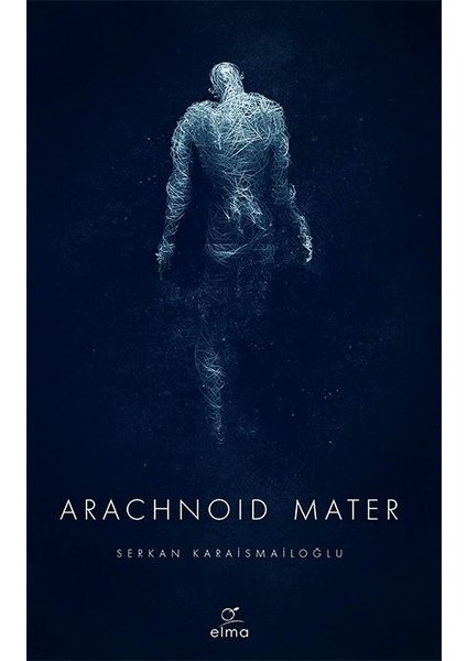 Arachnoid Mater