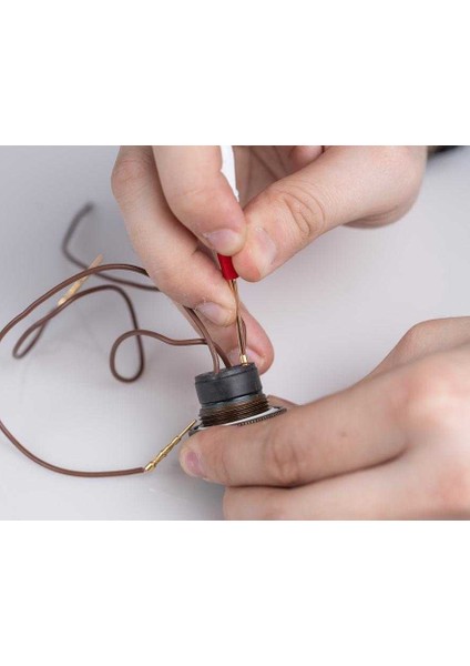 Wire Stripper, 10-22 Awg