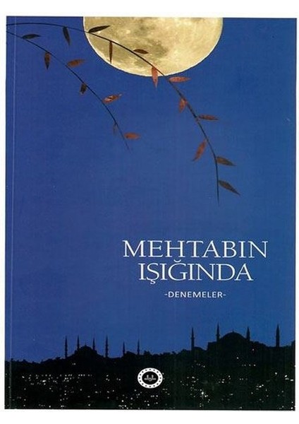 Mehtabın Işığında - Denemeler