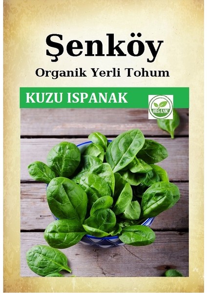 Yerli Kuzu Ispanak Tohumu Doğal Ata Geniş Yaprak Ispanak Tohum 1 Pakette 25 gr 2500 Tohum
