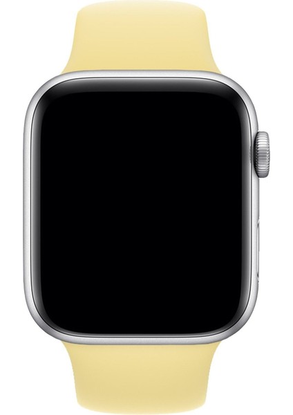 Apple Watch 3 4 5 6 7 8 Se 38 40 41MM Kordon Kayış Bileklik Klasik Kaliteli Silikon