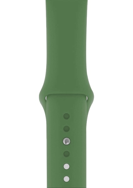 Apple Watch 3 4 5 6 7 8 Se 38 40 41MM Kordon Kayış Bileklik Klasik Kaliteli Silikon