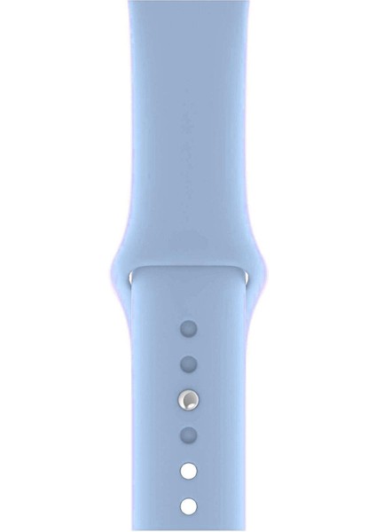 Apple Watch 3 4 5 6 7 8 Se 42 44 45MM Kordon Kayış Bileklik Klasik Kaliteli Silikon