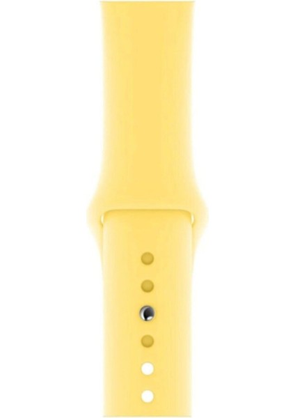 Apple Watch 3 4 5 6 7 8 Se 42 44 45MM Kordon Kayış Bileklik Klasik Kaliteli Silikon