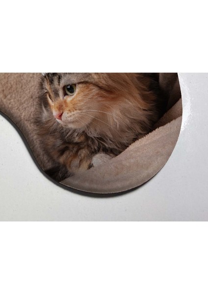 Şapkalı Kedi Bilek Destekli Mouse Pad fiyatları