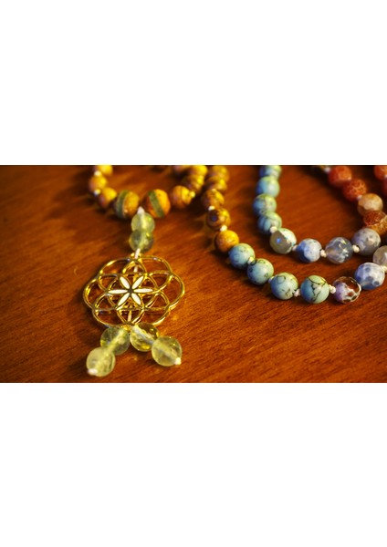 Uzayın ve Zamanın Malası fırsatları