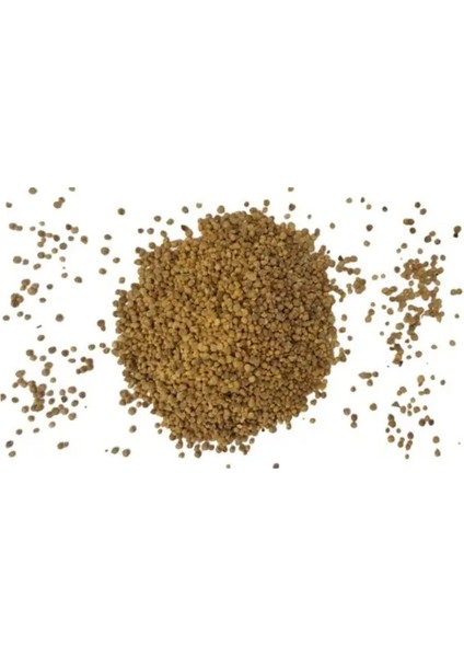 Yerli Matador Ispanak Tohumu (Açık Tohum – 25GR) - Yaklaşık 2000 Adet