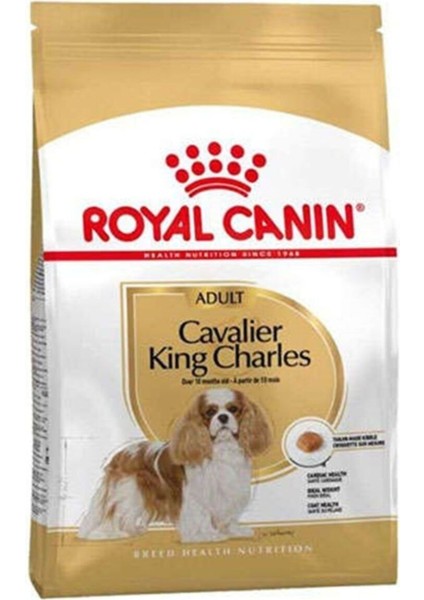 Cavalier King Charles Irk Köpek Maması 1,5 kg