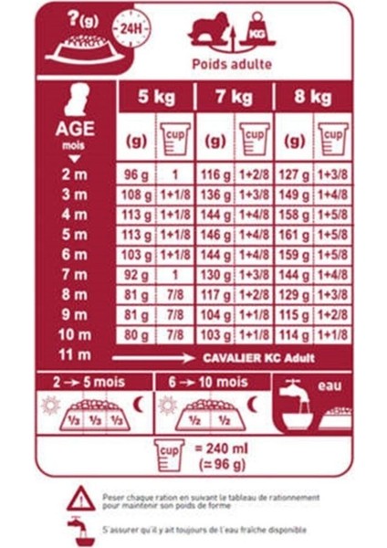 Cavalier King Charles Irk Köpek Maması 1,5 kg modelleri