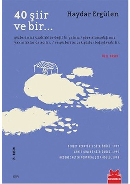 40 Şiir ve Bir - Haydar Ergülen