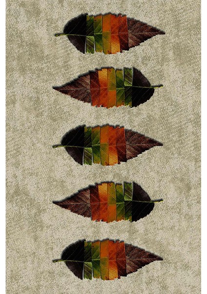 Modern Dekoratif Yıkanabilir Kaymaz Taban Halı – İnce, Yumuşak Salon Halısı, Mutfak Halısı ve Yolluk fiyatları