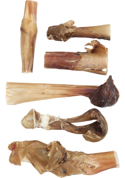 Bully Bıtes-Kurutulmuş Dana Penisi Kırpıntısı Köpek Ödül Maması fiyatları