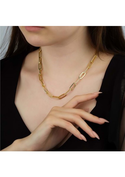 925 Ayar Ağır Altın Kaplama Taşlı Ataç Kolye - Altın - 45 cm - BLV00438-5923 fiyatları