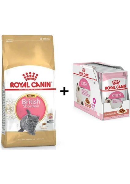 Royal Canin Kitten British Shorthair Yavru Kedi Maması 2 kg + 12 Adet Yaş Mama