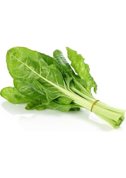 Yerli Pazı Tohumu (Açık Tohum – 25 Gr) -Ortalama 750 Tohum