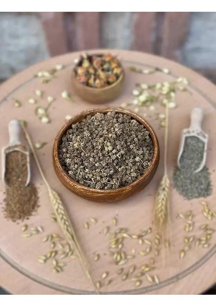 Yerli Pazı Tohumu (Açık Tohum – 25 Gr) -Ortalama 750 Tohum fiyatları