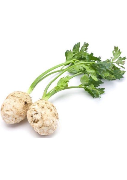 Yerli Kereviz Tohumu (Açık Tohum – 25 Gr) -Ortalama 10000 Adet