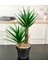 Siyah Saksıda 2 Dal Yapay Aloevera 1