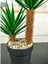 Siyah Saksıda 2 Dal Yapay Aloevera 2
