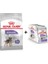 Mini Sterilised Kısır Köpek Maması 3 kg + 12 Adet Yaş Mama 1