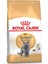 British Shorthair Kedi Maması 4 kg 1