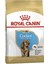 Cocker Puppy Yavru Köpek Maması 3 Kg. 1