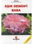(Ali Adil Atalay) Aşık Demani Baba 1