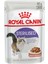Royal Canın Sterilised Kısır Kedi Yaş Mama 1