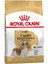 Cavalier King Charles Irk Köpek Maması 1,5 kg 1