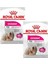 Mini Exigent Köpek Maması 3 kg 2