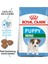 Mini Puppy Köpek Maması 2 kg 2