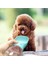 Taşınabilir Kedi Köpek Suluğu Seyahat Su Şişesi Kaseli Emniyetli Sızdırmaz Kutulu 350ML 4