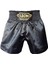Leon Ground Kick Boks ve Muay Thai Şortu Siyah BYL1006 3