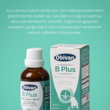 Obivan Plus+B Köpekler Için Tüy Sağlığı Damlası 50 ml