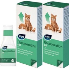 Viyo Recoperation Kedi 150 ml x 2 Adet