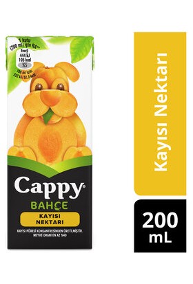 Cappy Bahçe Kayısılı Meyve Suyu Karton Kutu 200 ml