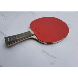 1071 Masa Tenisi Raketi