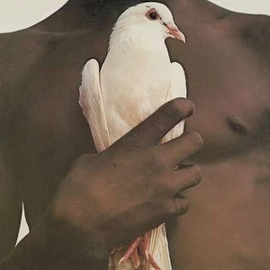 Carlos Santana Greatest Hits - Plak